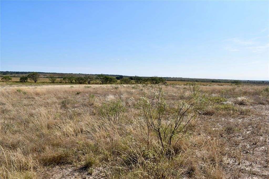 20 Acres of Agricultural Land for Sale in Brady, Texas