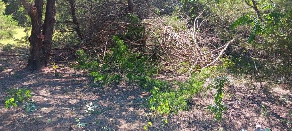 0.21 Acres of Residential Land for Sale in Purdon, Texas