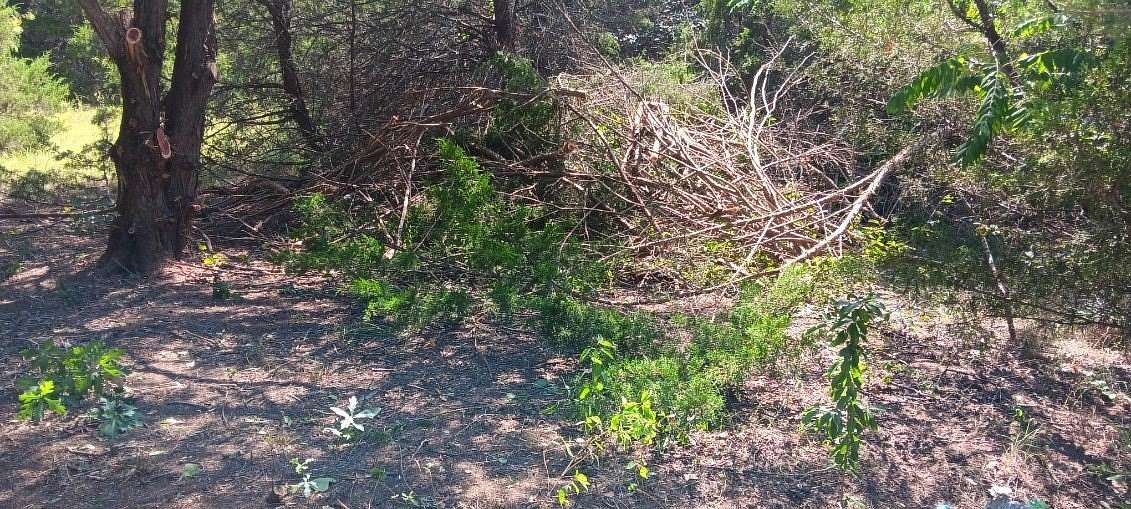 0.21 Acres of Residential Land for Sale in Purdon, Texas