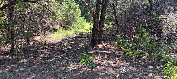 0.21 Acres of Residential Land for Sale in Purdon, Texas