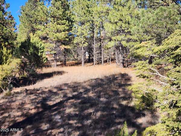 0.87 Acres of Residential Land for Sale in Overgaard, Arizona