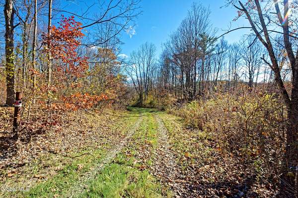 43.1 Acres of Recreational Land for Sale in Chatham, New York
