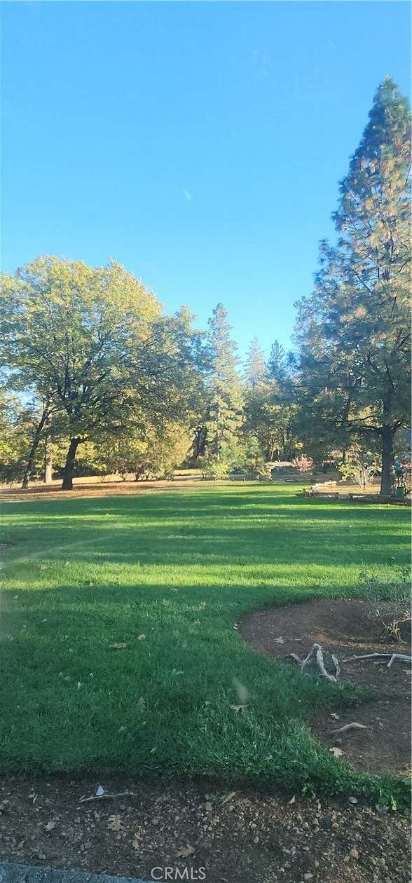 1.17 Acres of Residential Land for Sale in Forest Ranch, California