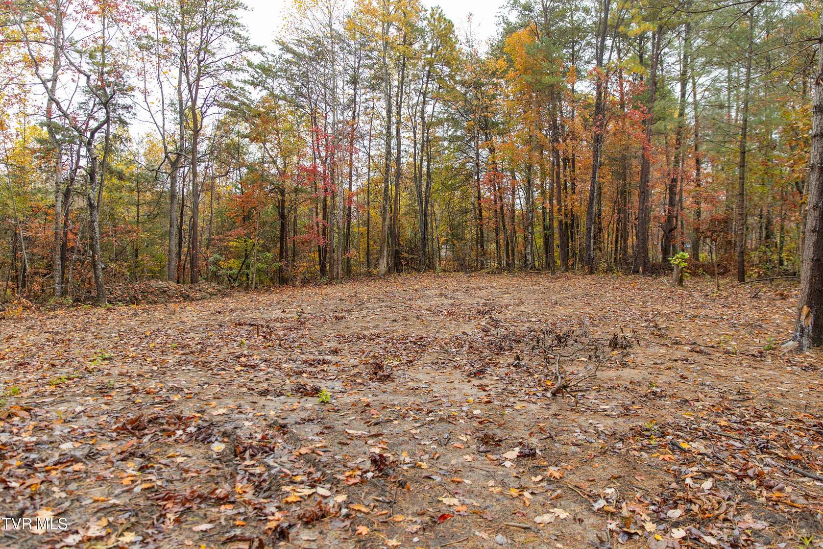 1.17 Acres of Residential Land for Sale in Afton, Tennessee