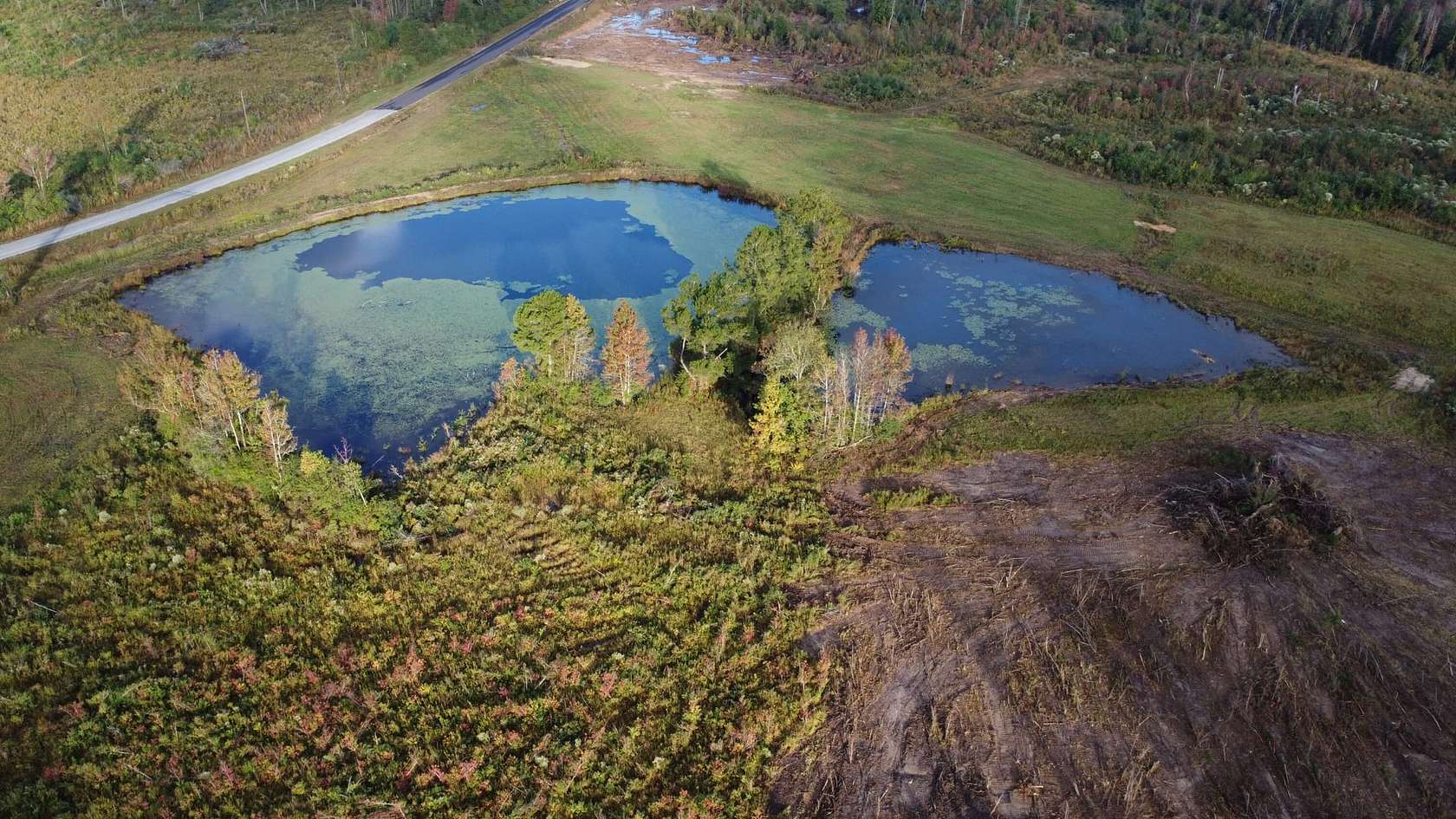 70.7 Acres of Recreational Land & Farm for Sale in Collins, Mississippi