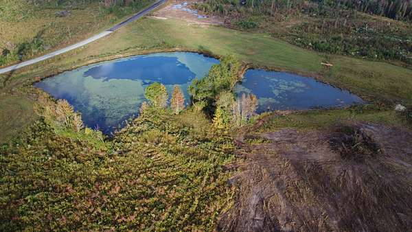 70.7 Acres of Recreational Land & Farm for Sale in Collins, Mississippi