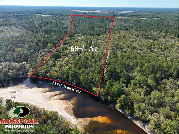 68 Acres of Recreational Land for Sale in Nahunta, Georgia