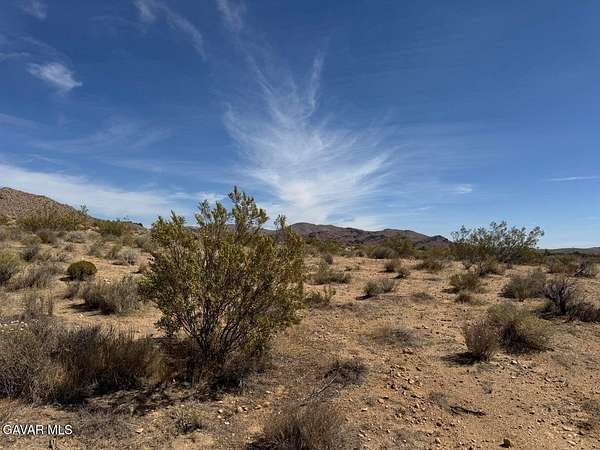 10 Acres of Land for Sale in Rosamond, California