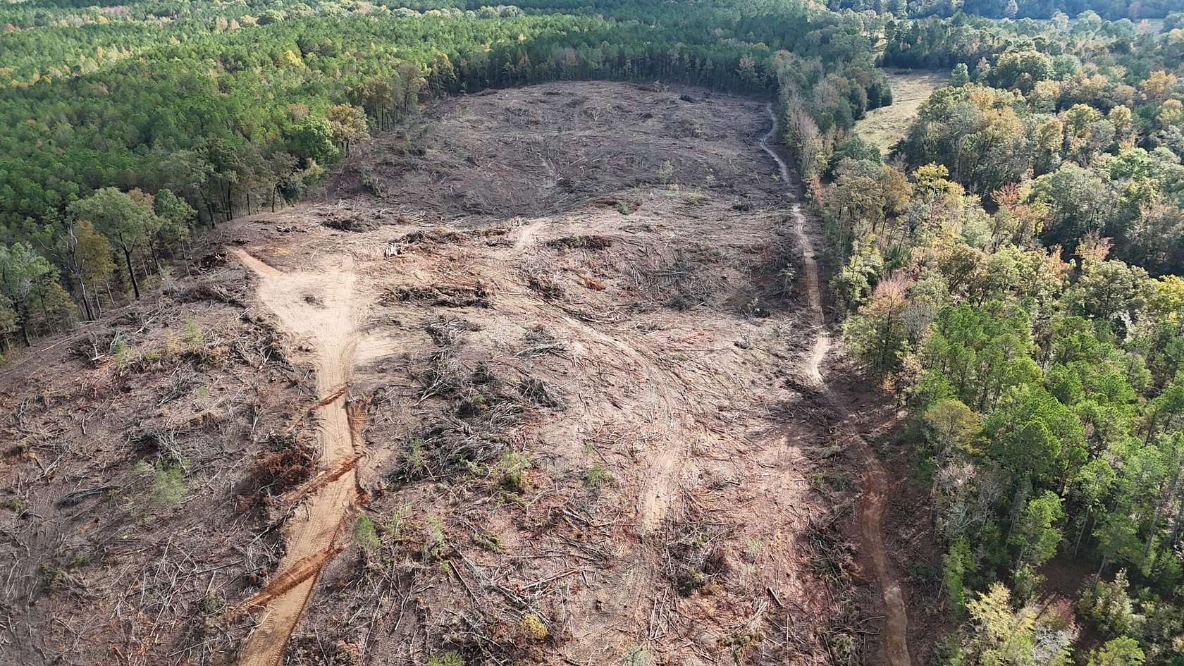 33.3 Acres of Recreational Land & Farm for Sale in Pontotoc, Mississippi