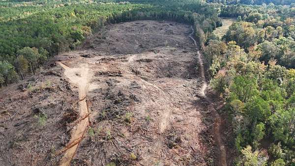 33.3 Acres of Recreational Land & Farm for Sale in Pontotoc, Mississippi