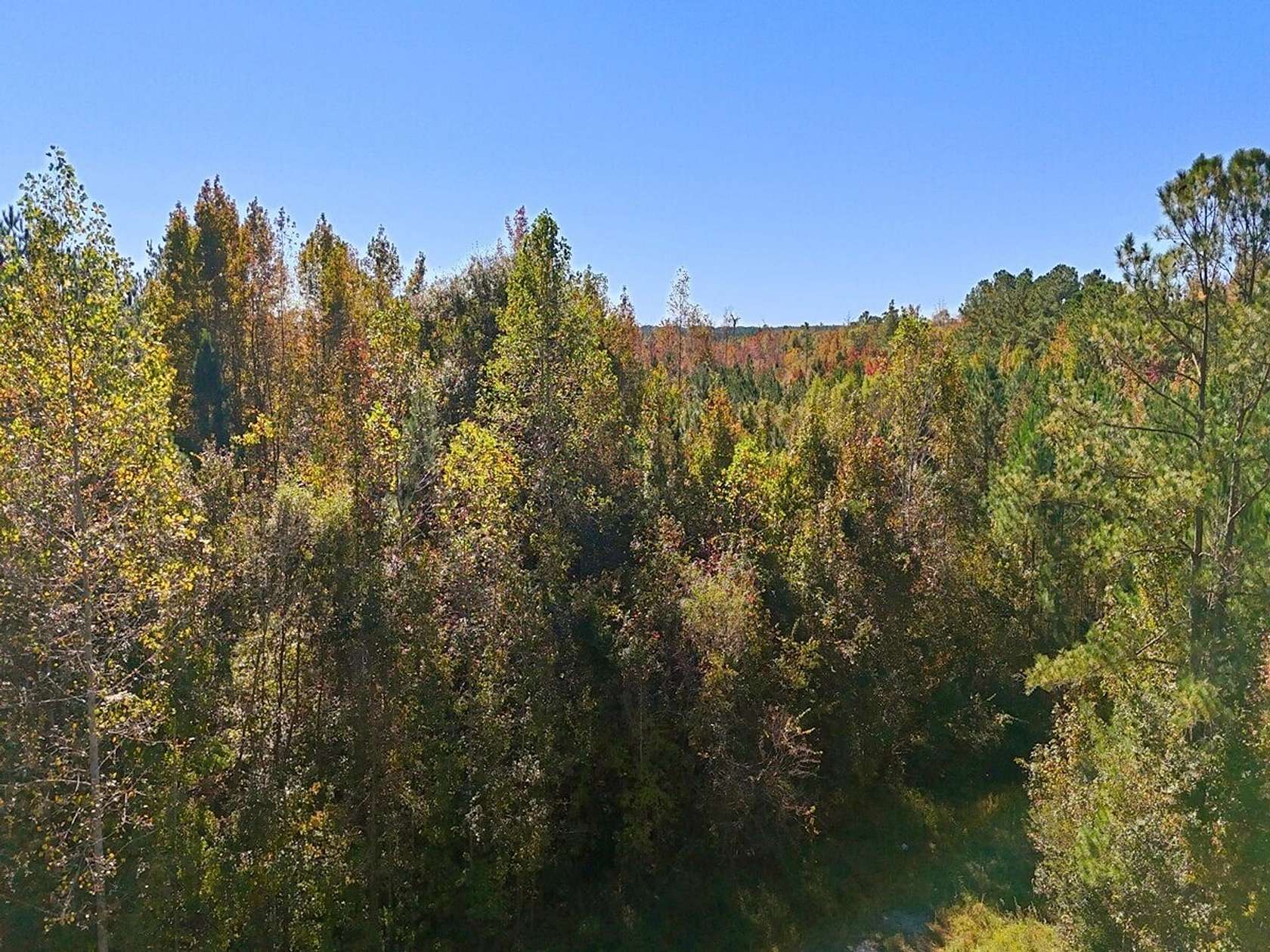 11 Acres of Recreational Land for Sale in Maple Hill, North Carolina