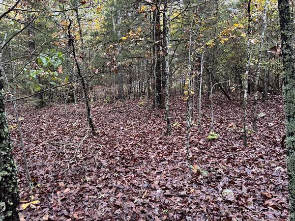 0.47 Acres of Residential Land for Sale in Horseshoe Bend, Arkansas
