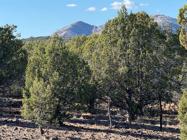 95.7 Acres of Recreational Land & Farm for Sale in Williams, Arizona