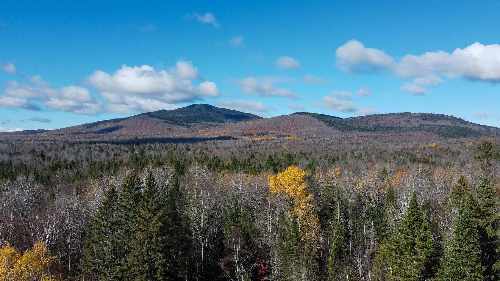 115 Acres of Land for Sale in Hersey, Maine