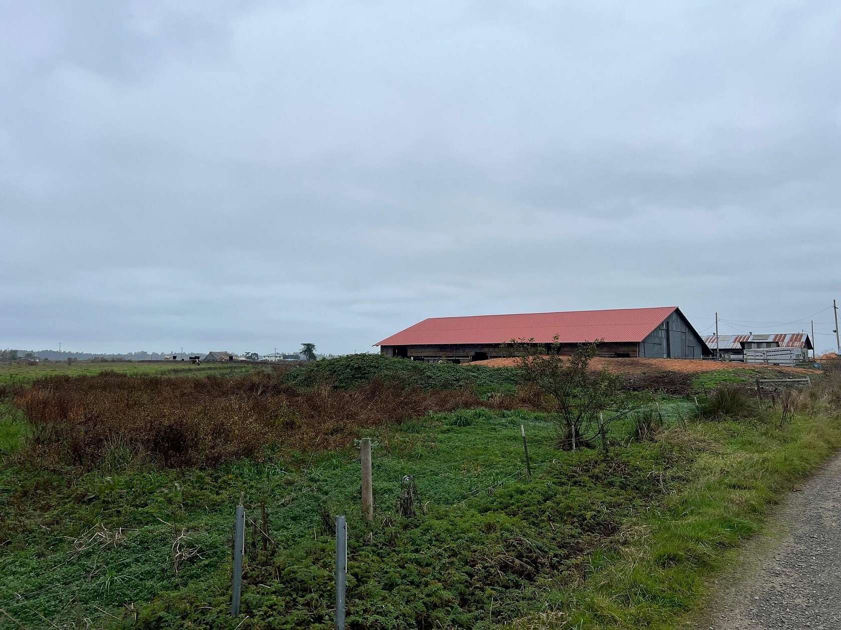 53.4 Acres of Agricultural Land with Home for Sale in Arcata, California