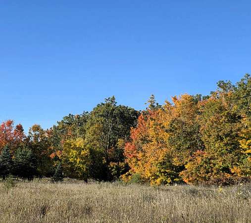 5 Acres of Land for Sale in Hubbard Lake, Michigan