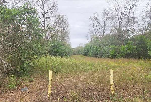 18.9 Acres of Land for Sale in Dawson, Georgia