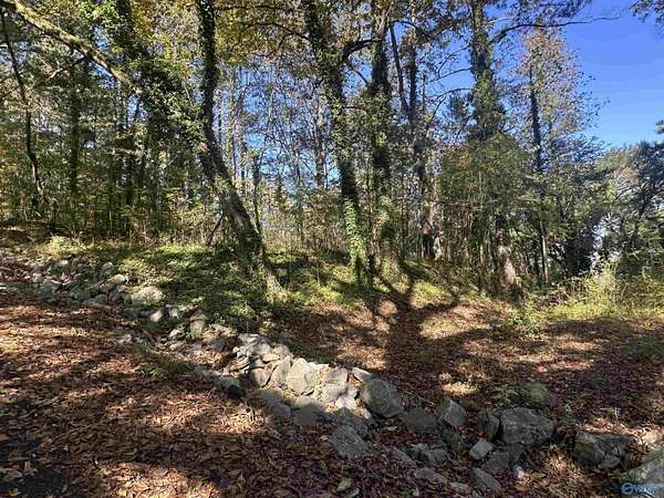 0.16 Acres of Residential Land for Sale in Guntersville, Alabama