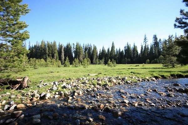 10.3 Acres of Land with Home for Sale in Bass Lake, California