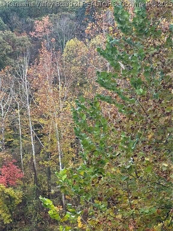 11.3 Acres of Mixed-Use Land for Sale in Sissonville, West Virginia