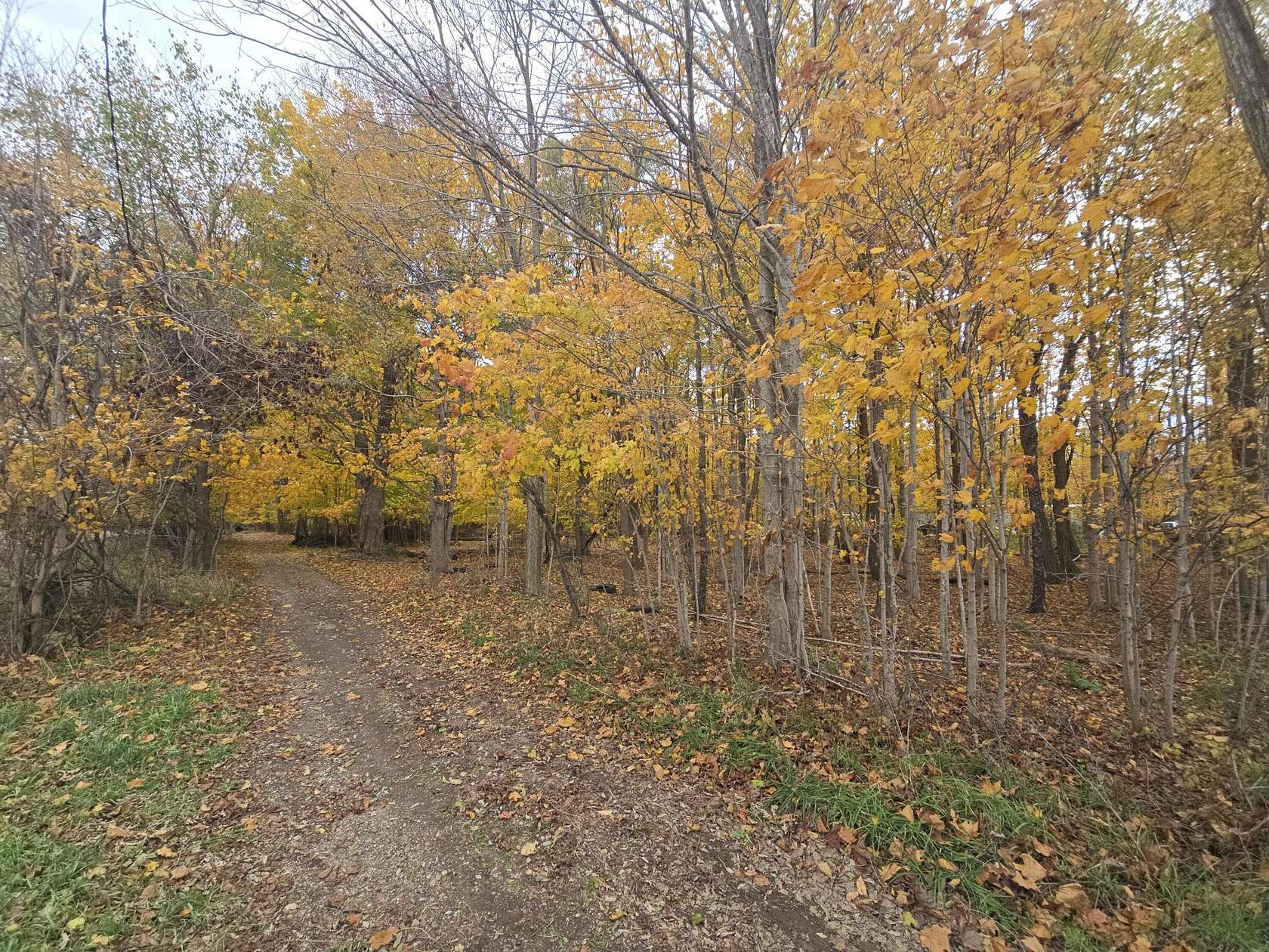 8 Acres of Land for Sale in Sherwood, Michigan