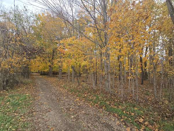 8 Acres of Land for Sale in Sherwood, Michigan