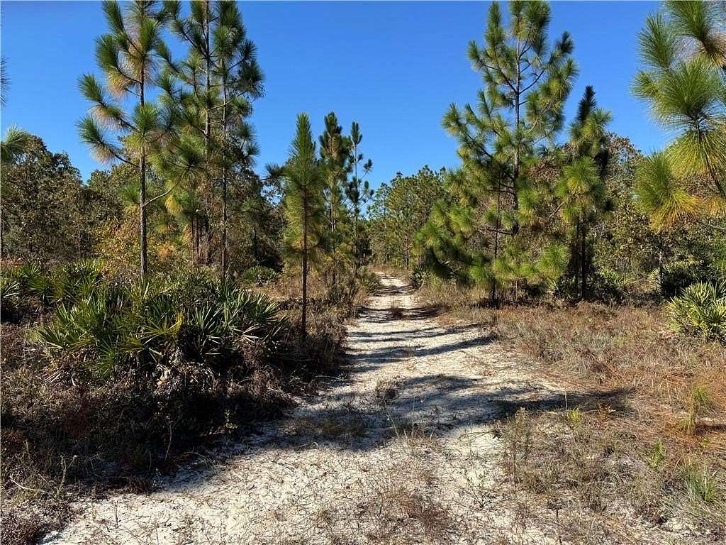 1.25 Acres of Residential Land for Sale in Hortense, Georgia