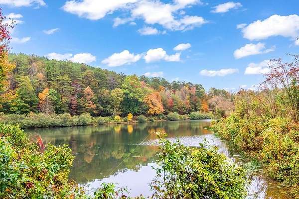 44.9 Acres of Recreational & Residential Land for Sale in Dawsonville, Georgia