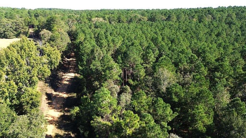 23.3 Acres of Land for Sale in Grapeland, Texas