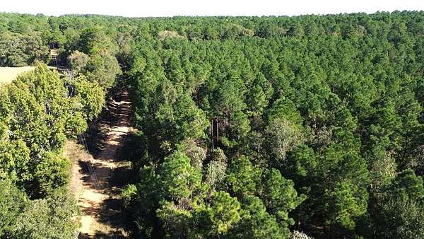 23.3 Acres of Land for Sale in Grapeland, Texas