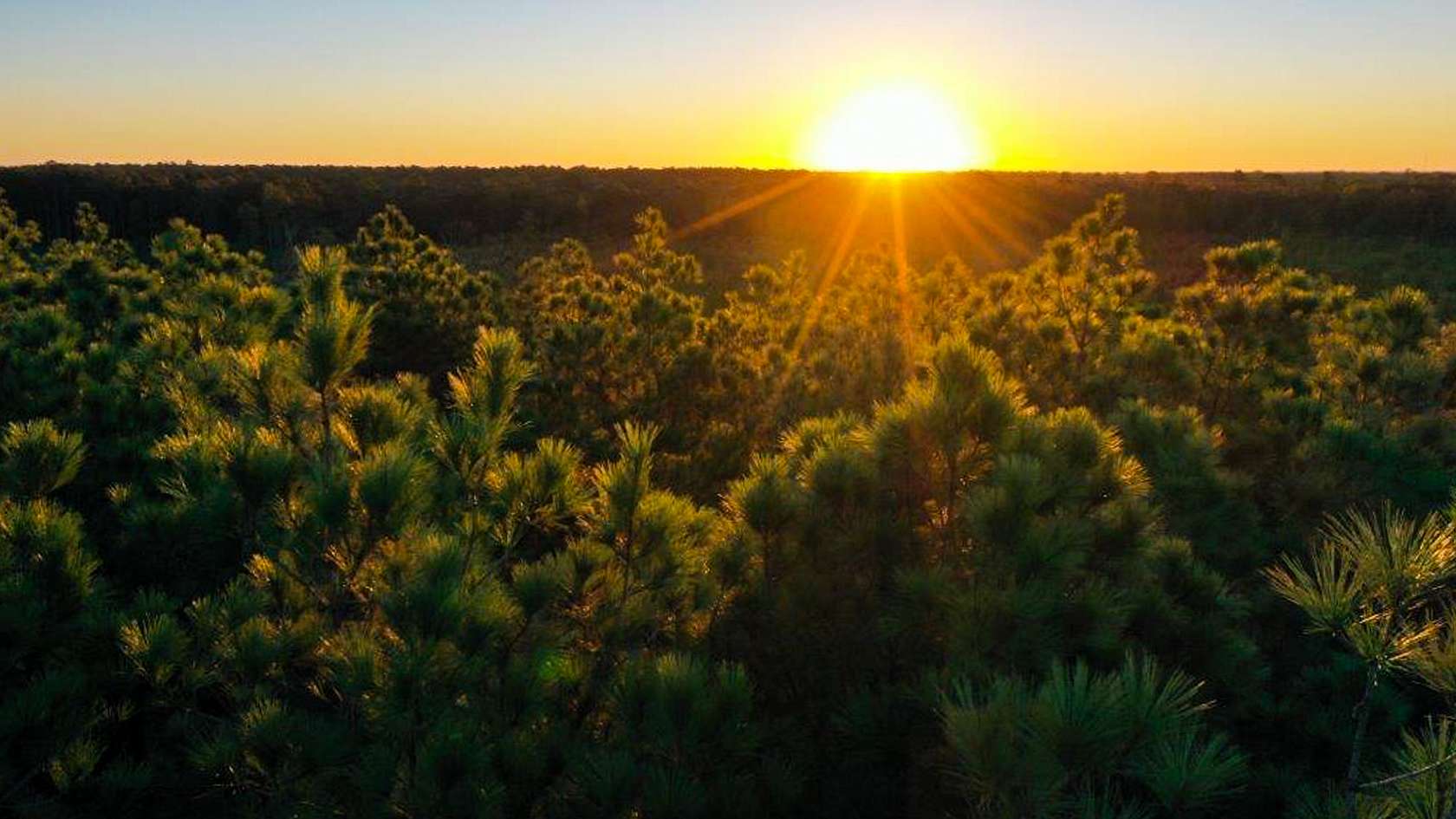 362 Acres of Recreational Land for Sale in Bastrop, Louisiana