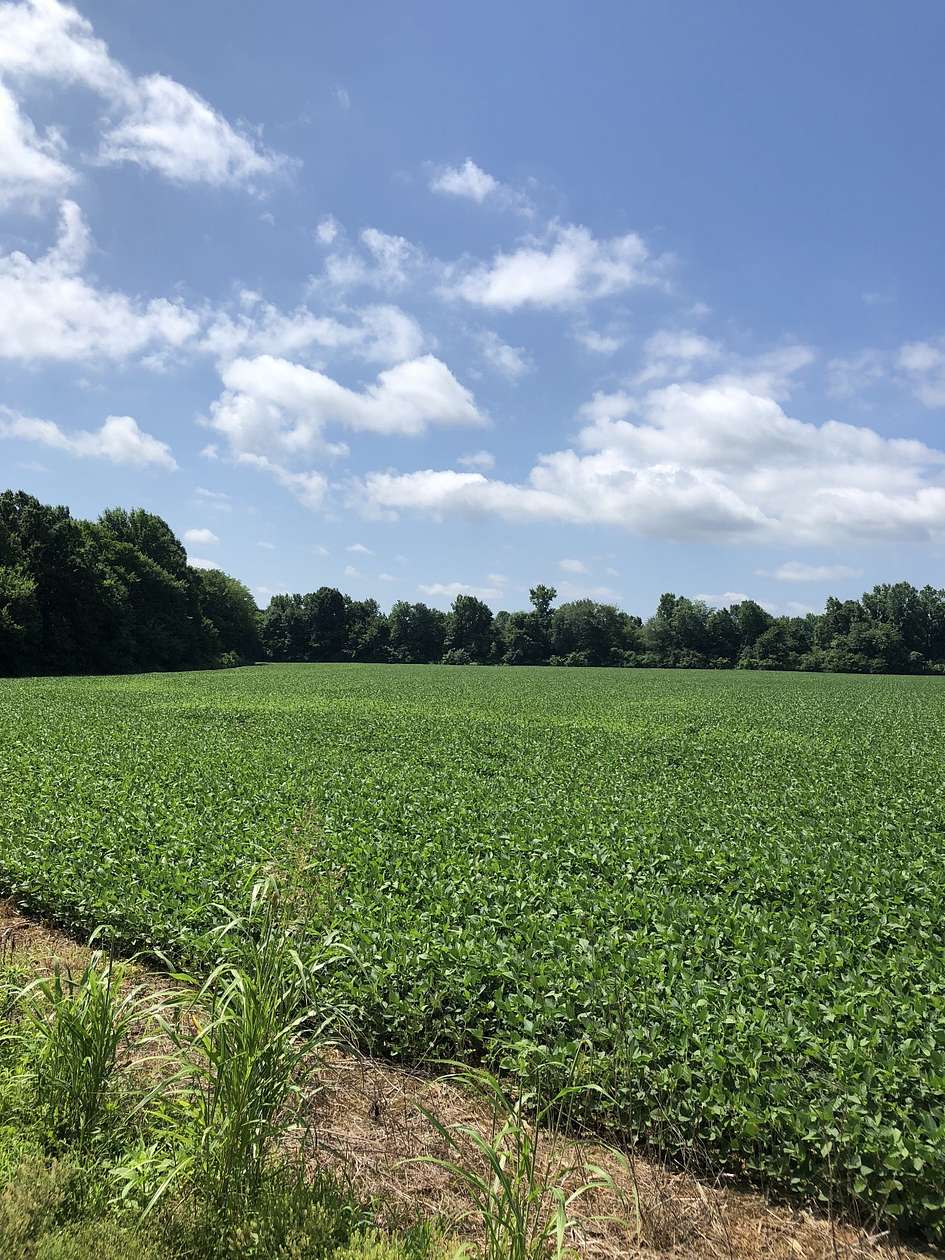 19.1 Acres of Land for Sale in Manchester, Tennessee