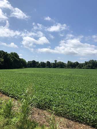 19.1 Acres of Land for Sale in Manchester, Tennessee
