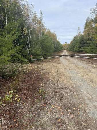 39.8 Acres of Land with Home for Sale in Clifton, Maine