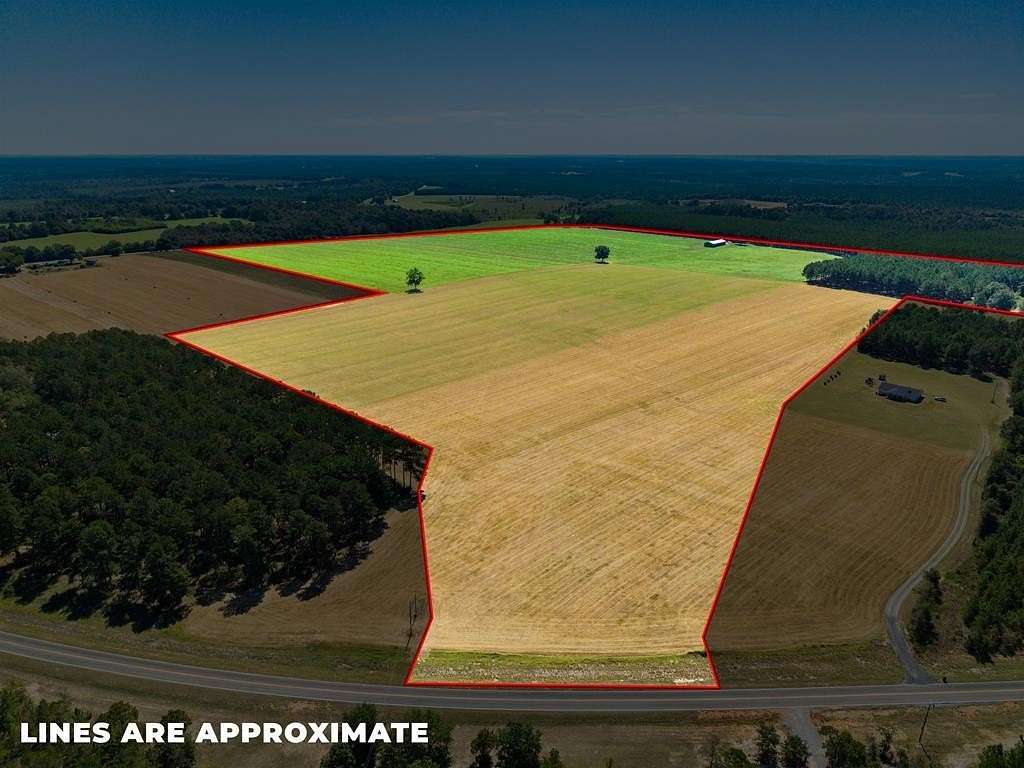 113 Acres of Agricultural Land for Sale in Buena Vista, Georgia