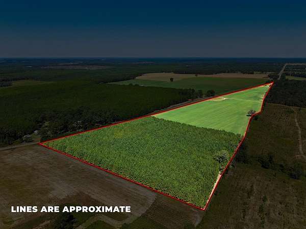 30 Acres of Agricultural Land for Sale in Buena Vista, Georgia