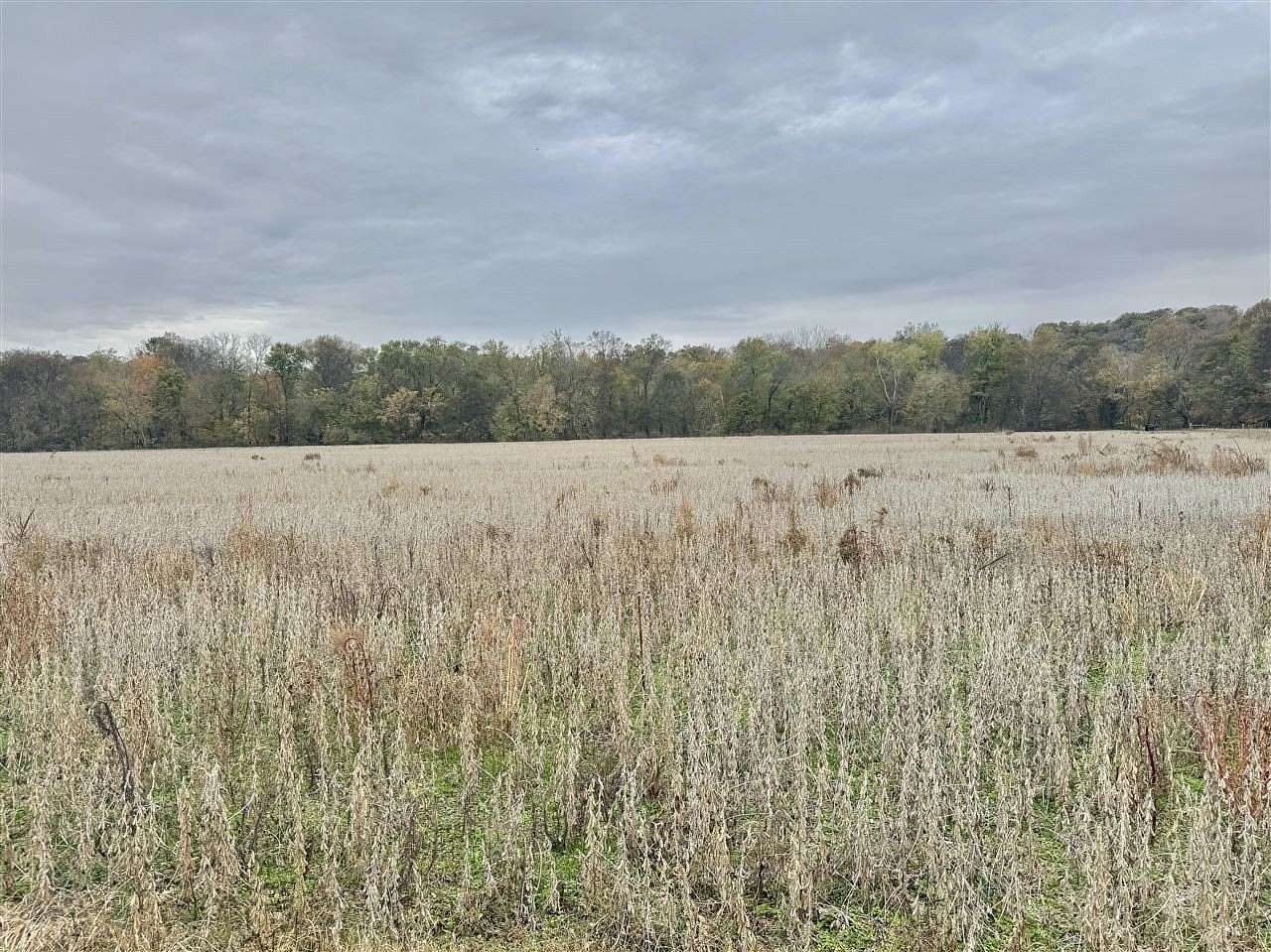 69.2 Acres of Agricultural Land for Sale in Alvaton, Kentucky