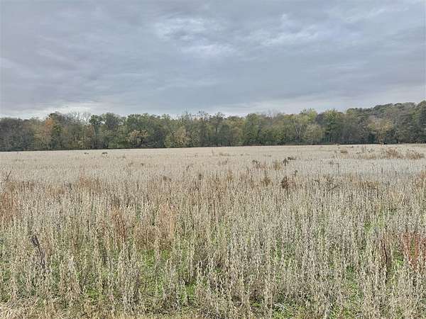 69.2 Acres of Agricultural Land for Sale in Alvaton, Kentucky