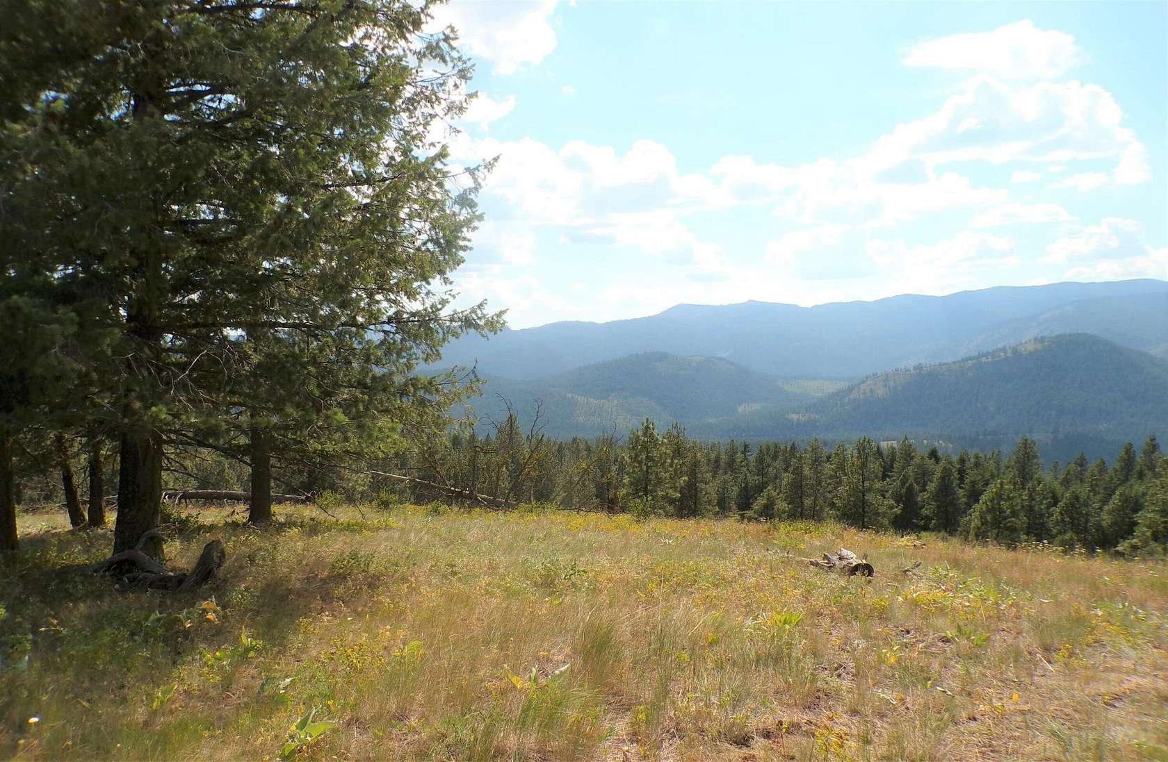 20 Acres of Recreational & Residential Land for Sale in Inchelium, Washington