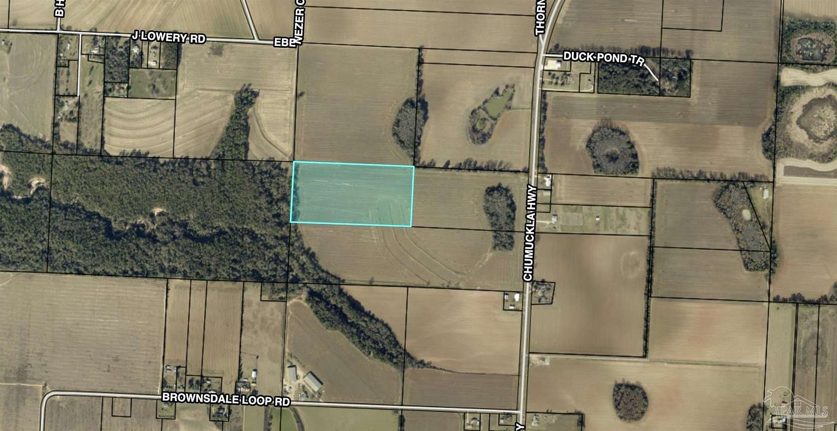 20 Acres of Land for Sale in Jay, Florida