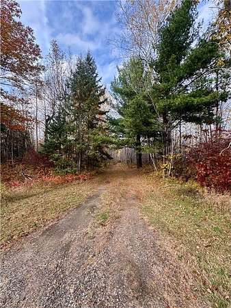 6 Acres of Land for Sale in Jacobson, Minnesota