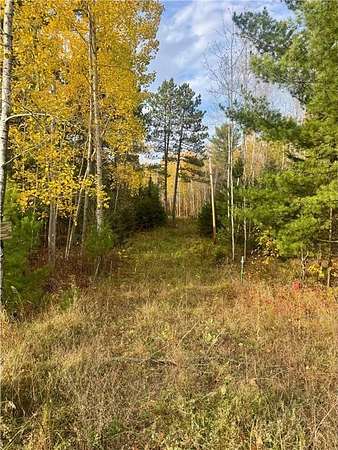 14.1 Acres of Recreational & Residential Land for Sale in Jacobson, Minnesota