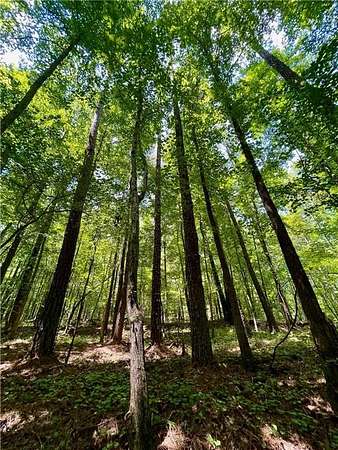 26 Acres of Recreational Land for Sale in Lithonia, Georgia
