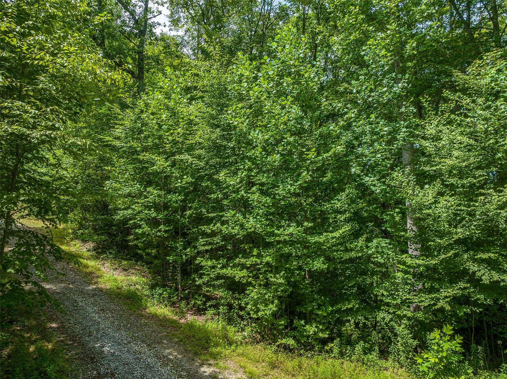 5.17 Acres of Land for Sale in Glenville, North Carolina