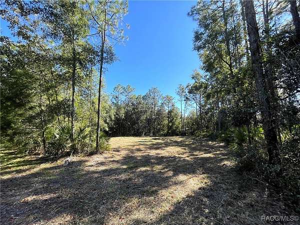 0.5 Acres of Land for Sale in Crystal River, Florida