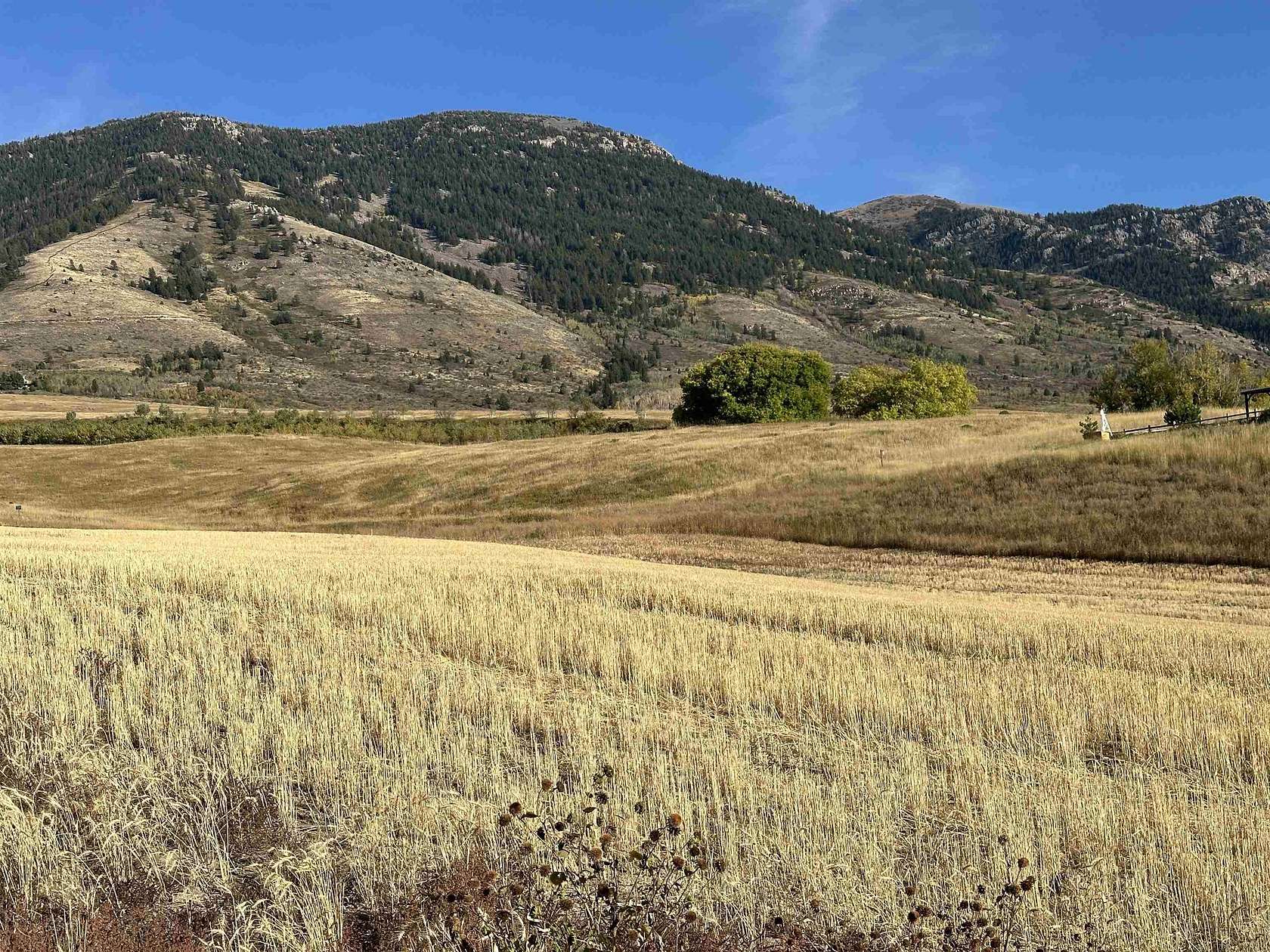 1.22 Acres of Residential Land for Sale in Inkom, Idaho