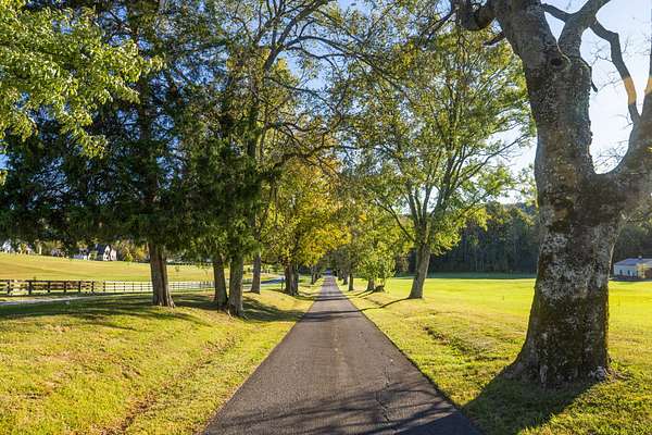 30.6 Acres of Land with Home for Sale in Eagleville, Tennessee
