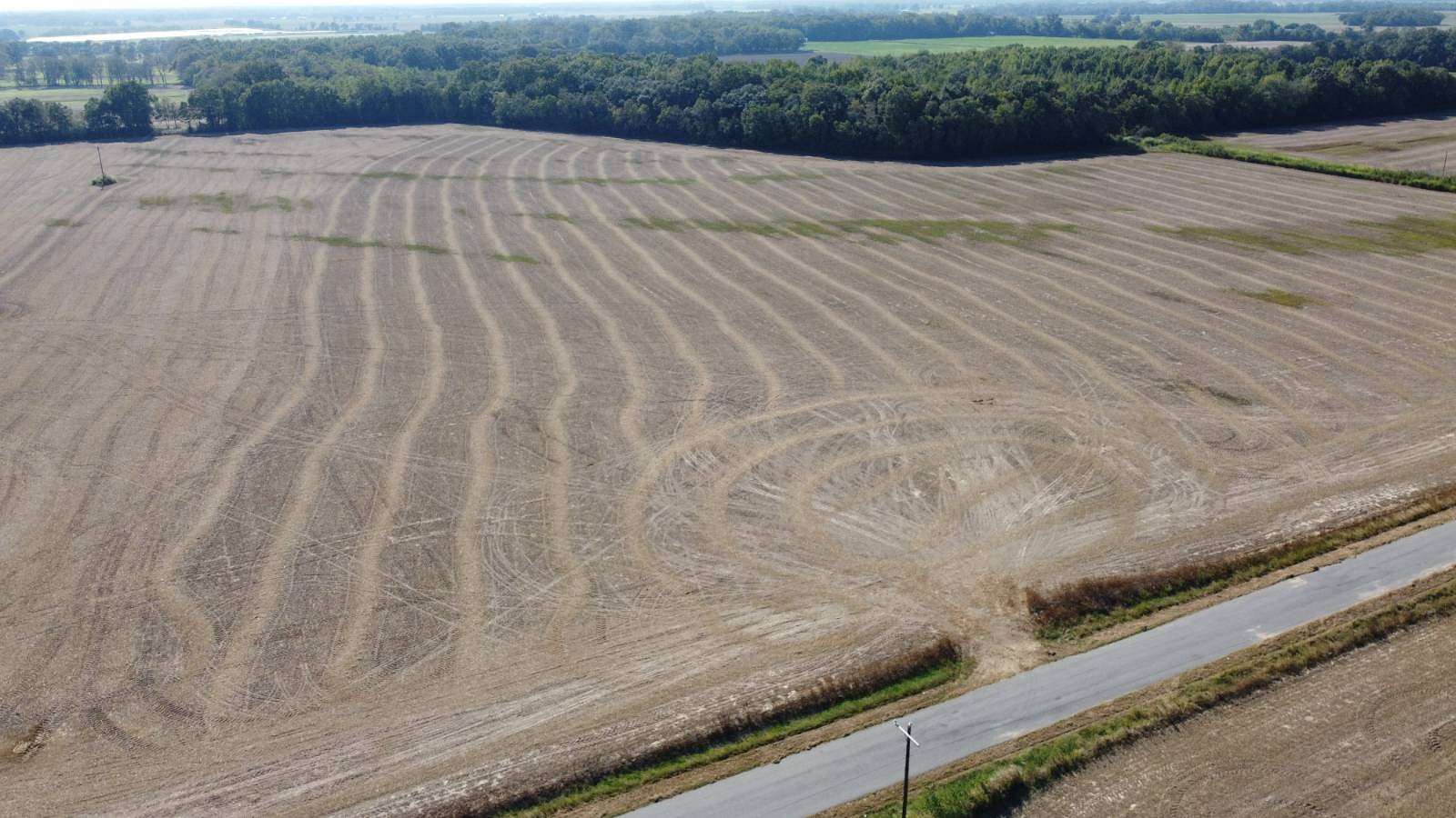 80.5 Acres of Agricultural Land for Sale in Opelousas, Louisiana