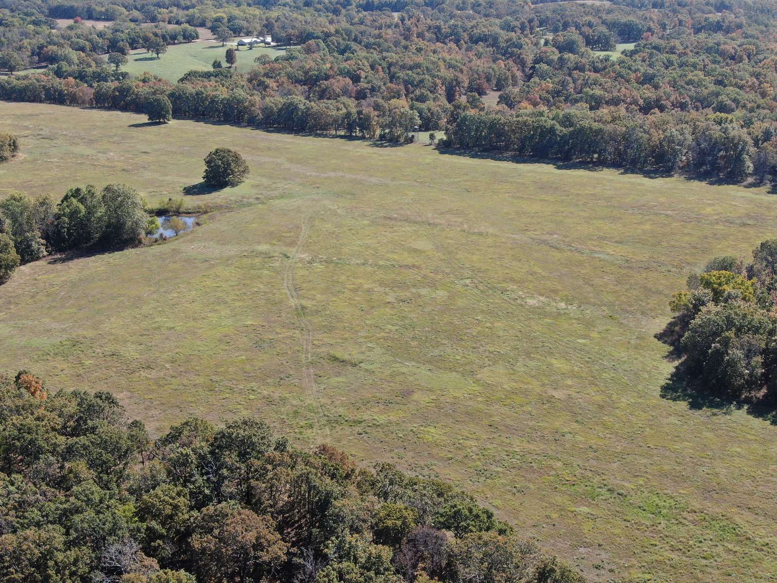 100 Acres of Land for Sale in Big Cabin, Oklahoma
