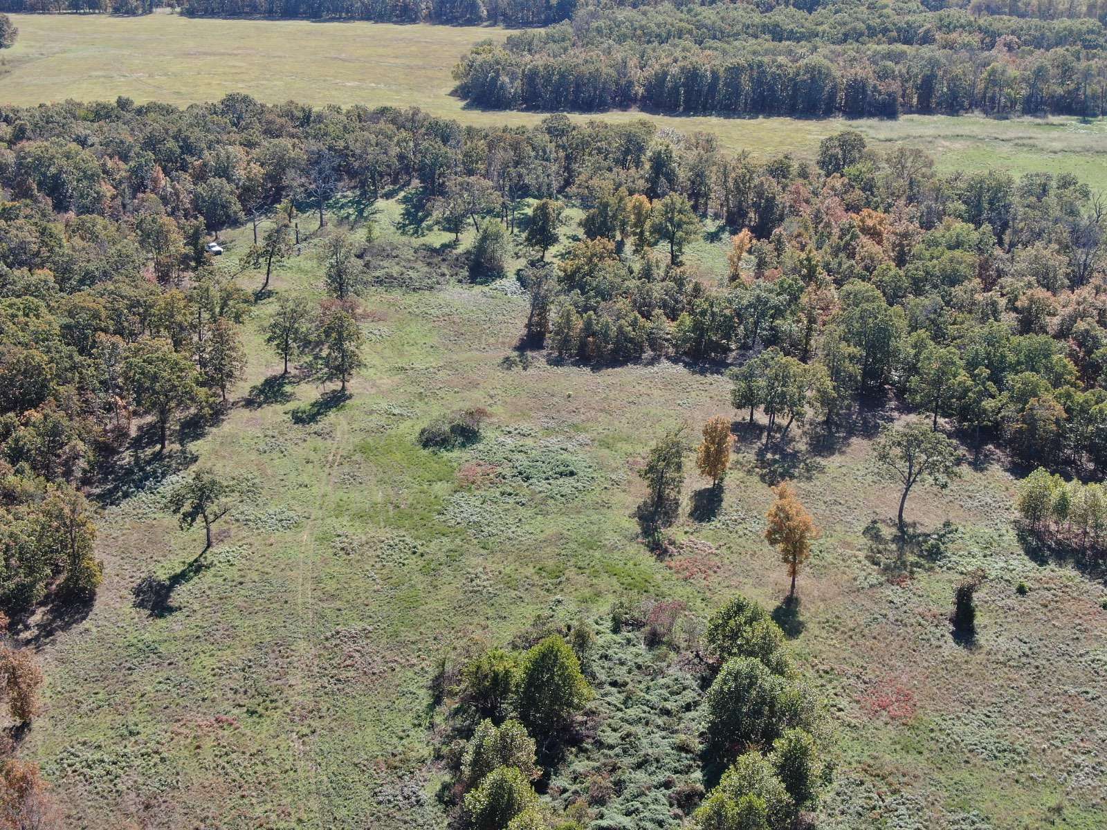 60 Acres of Land for Sale in Big Cabin, Oklahoma